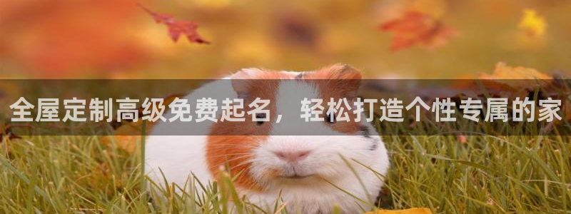 BB电子连环夺宝