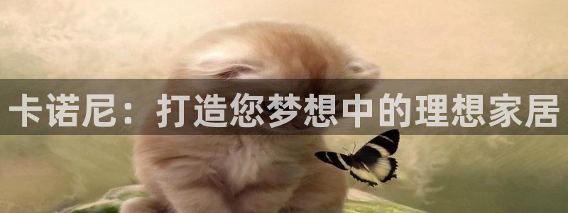 bb电子怎么英语怎么说