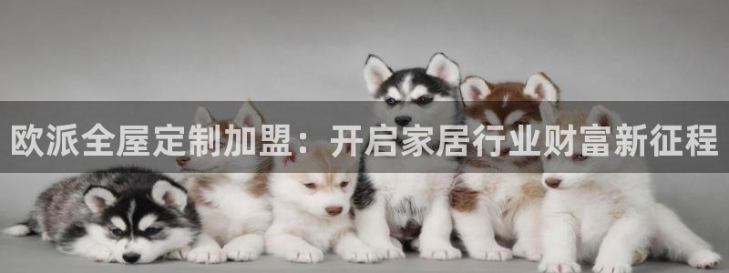 xbb电子游艺
