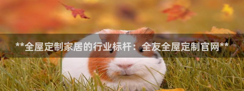 bb电子糖果彩球