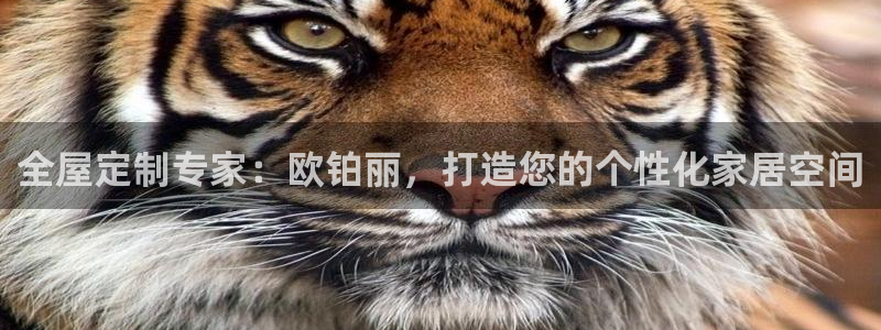bb电子中了Major怎么算