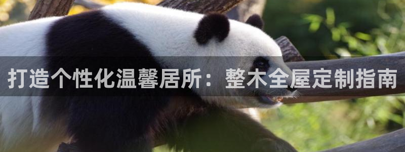 bb电子为什么总赢不了