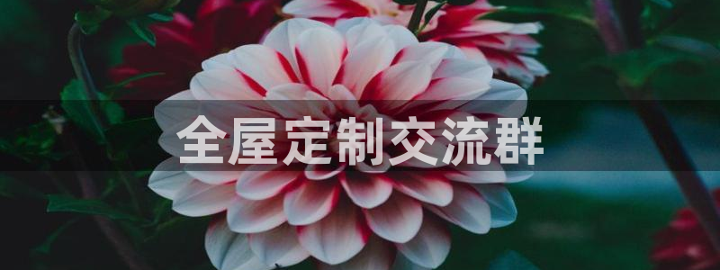 BB电子烟官网