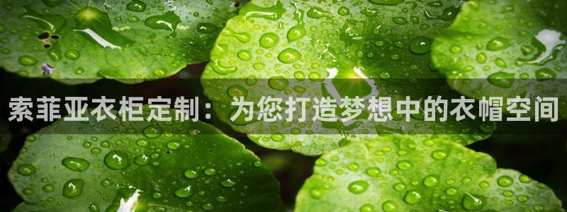 bb电子哪个平台好用一点