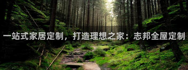 BB电子锁怎么接电