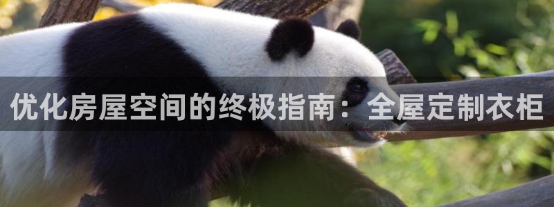 bb电子糖果玩法技巧