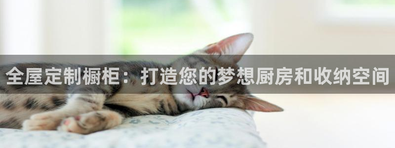 bb电子怎么英语怎么说