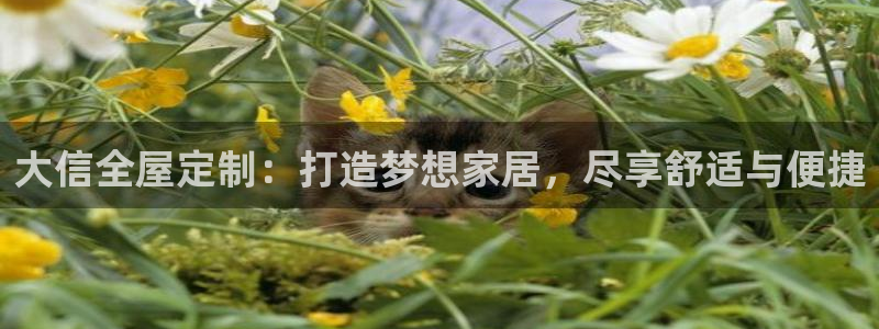 bb电子教育平台