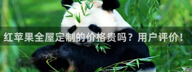 BB电子连环夺宝