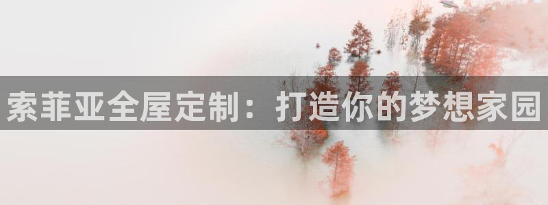 bb电子哪个平台好一点