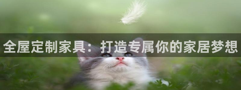 bb电子哪个平台好出款啊