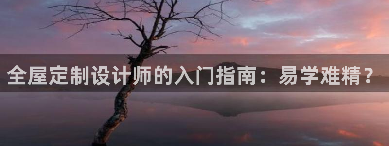 bb电子哪个平台好点