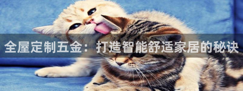 xbb电子游艺