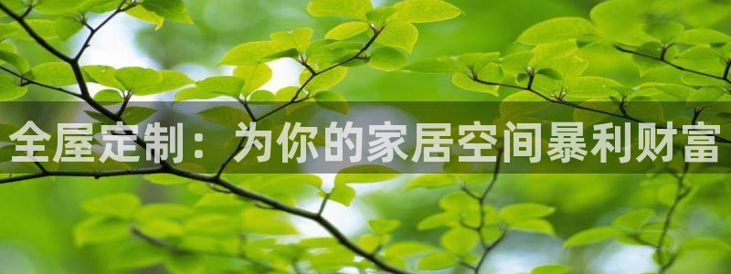 bb电子为什么总赢不了