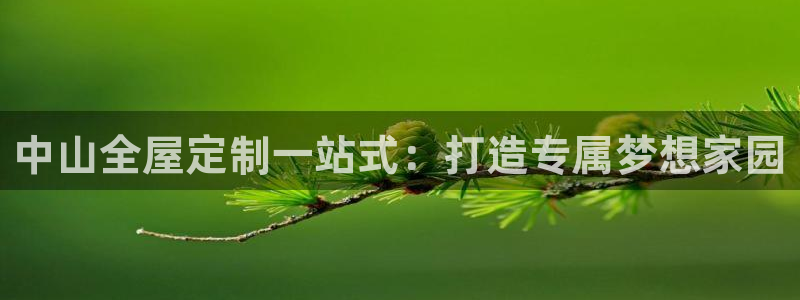 BB电子锁怎么接电