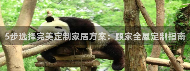 BB电子连环夺宝
