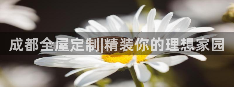bb电子哪个平台好用点