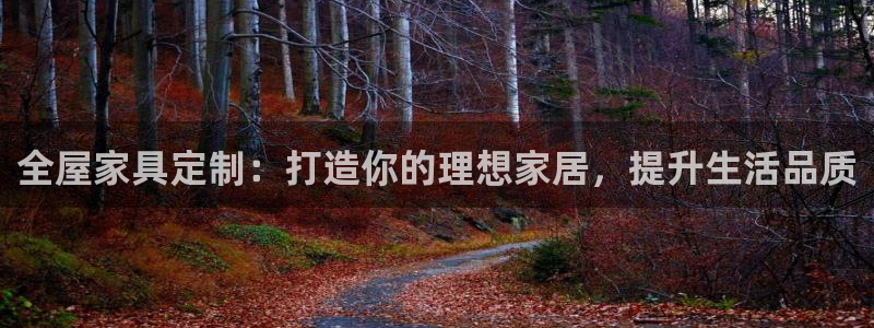 bB电子琴和弦