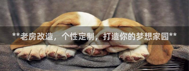 bb电子怎么赢