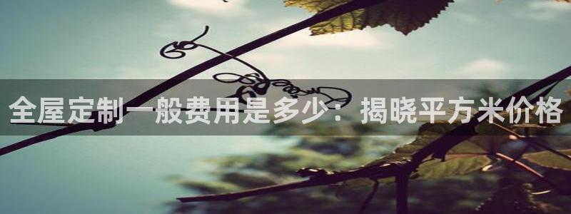 bb电子哪个平台好用