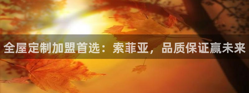 bB电子琴和弦