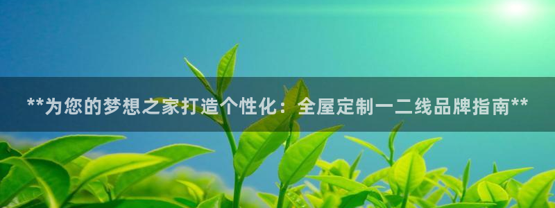 BB电子麻将胡了