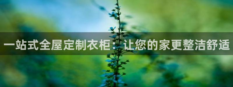 bb电子哪个平台好用