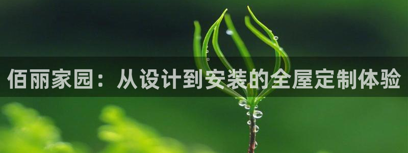 BB电子骗局