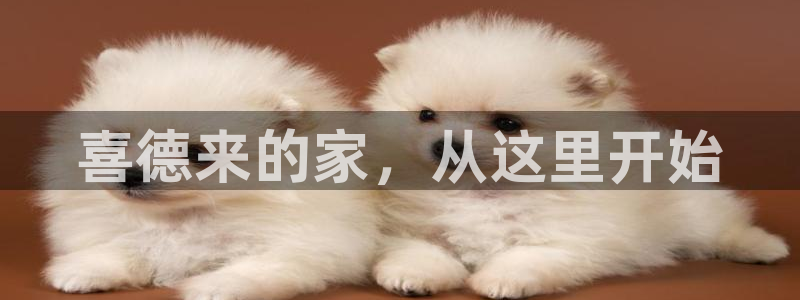 BB电子什么时候容易爆大奖