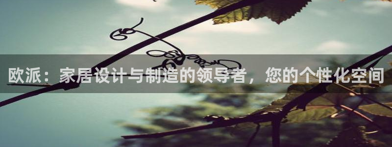 bb电子哪个平台好一点