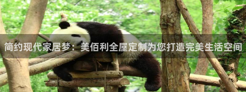 BB电子麻将胡了